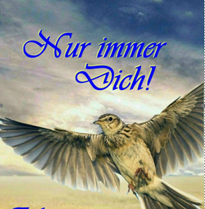 Nur immer Dich!